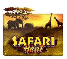 Joker123 : Safari Heat - MG138
