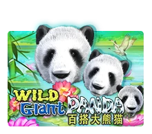 Joker123 : Wild Giant Panda - MG138