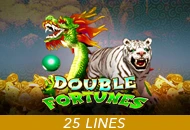 Spadegaming : Double Fortunes - MG138