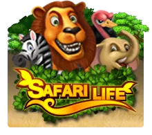 Joker123 : Safari Life - MG138